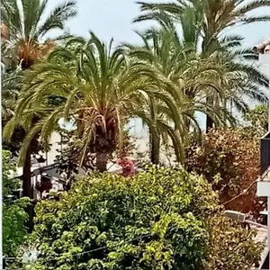 https://beach-apartments.es-andalucia.com